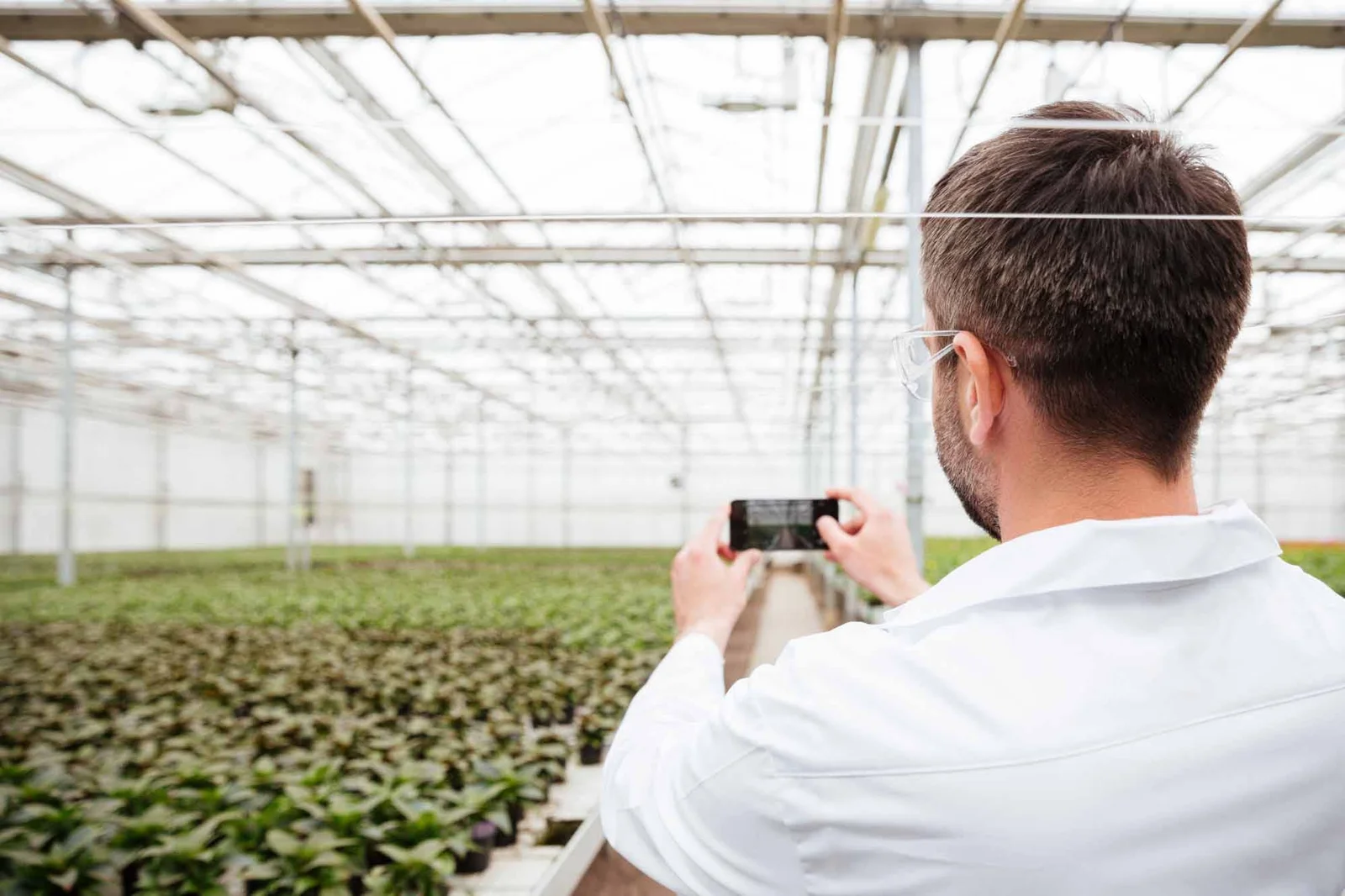 High-Tech Greenhouse Solutions