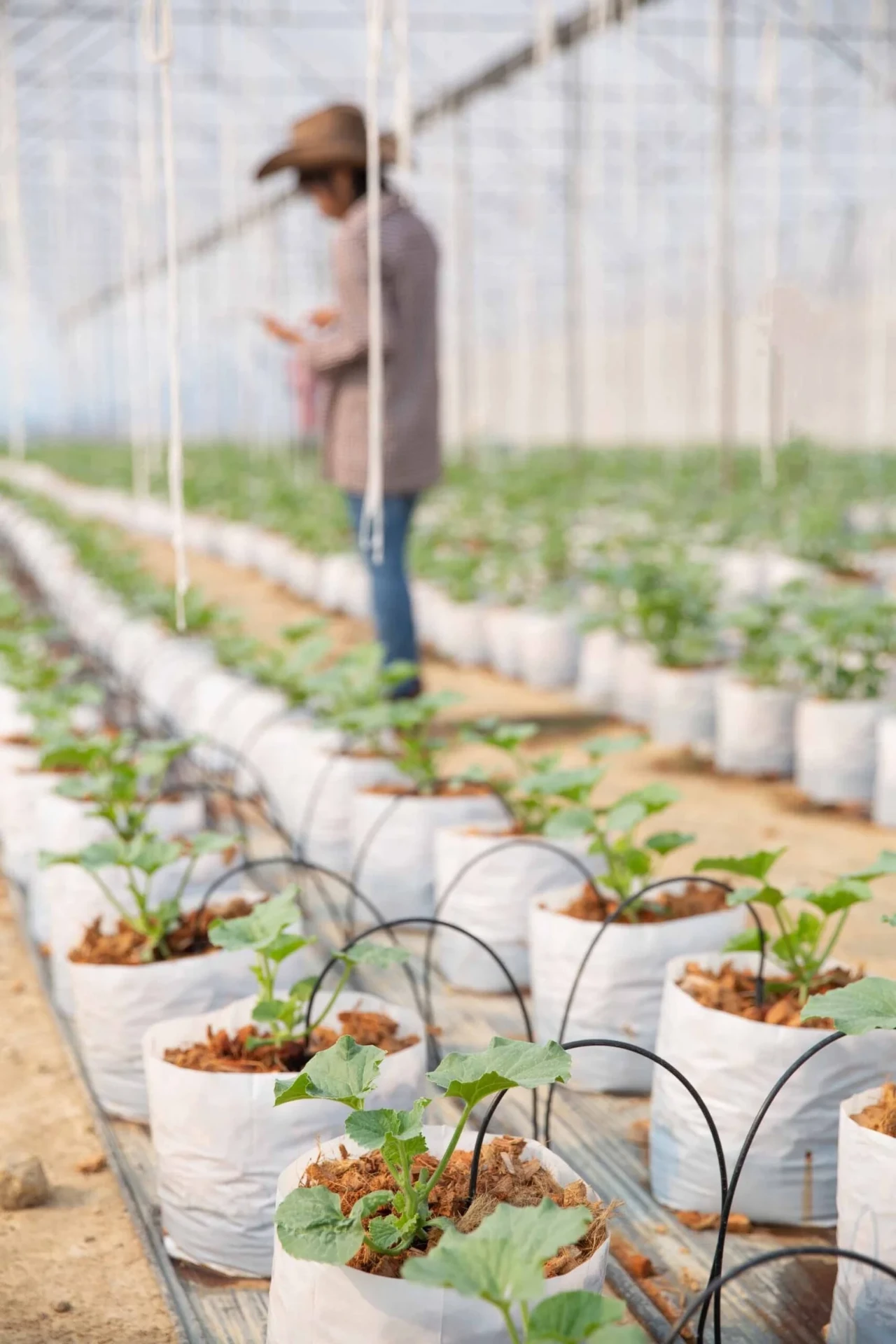Irrigation Systems