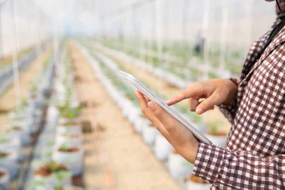 High-Tech Greenhouse Solutions
