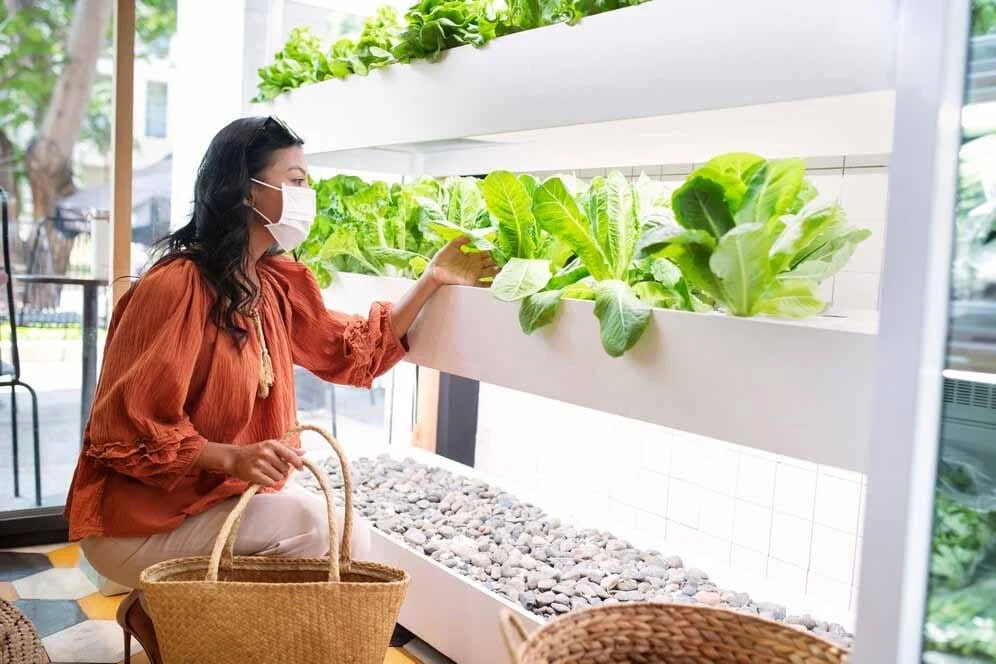 Top 5 Trends in Hydroponic Farming for 2025